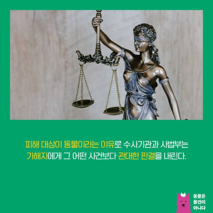 카드뉴스6