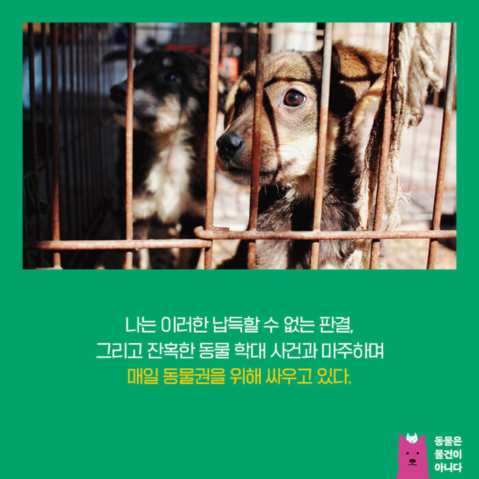 카드뉴스7
