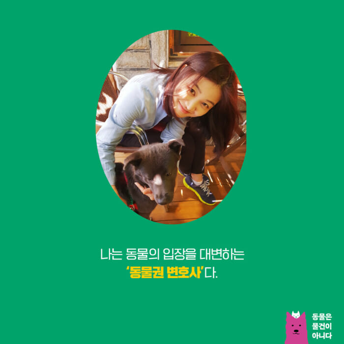 카드뉴스8