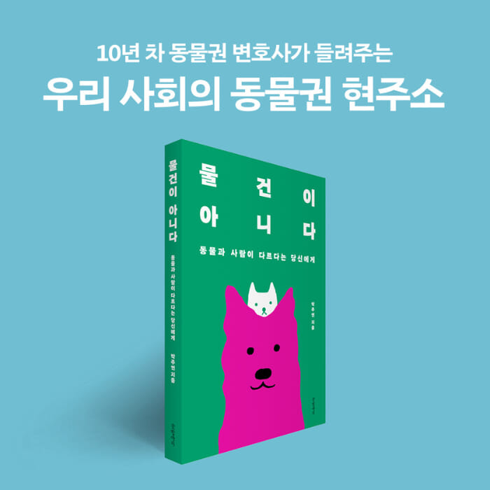 카드뉴스11