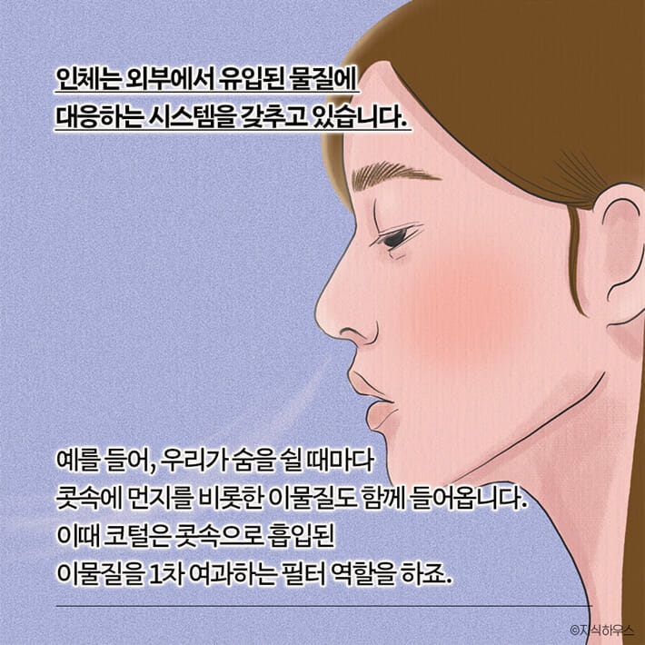 카드뉴스11