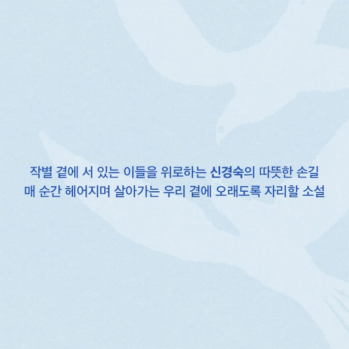 카드뉴스7