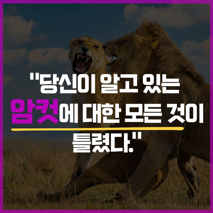 카드뉴스0