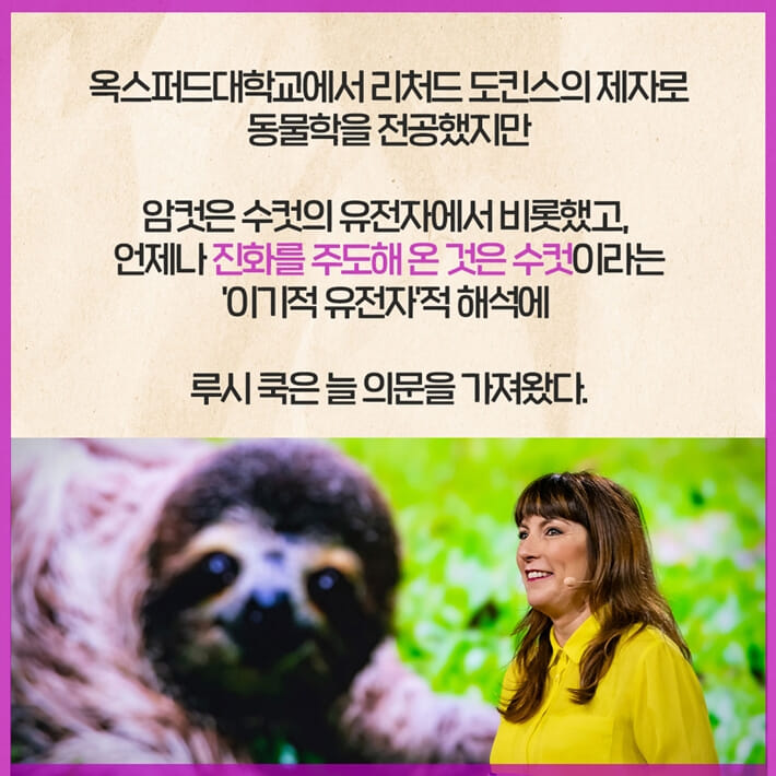 카드뉴스1