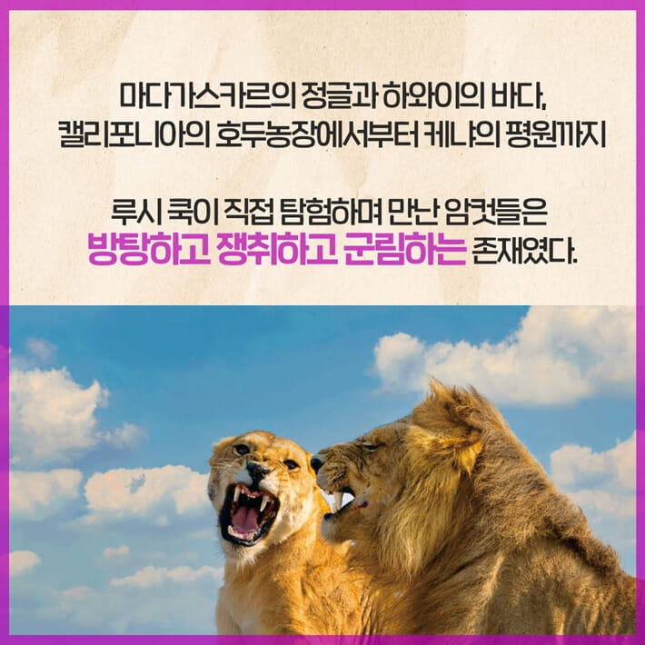 카드뉴스3