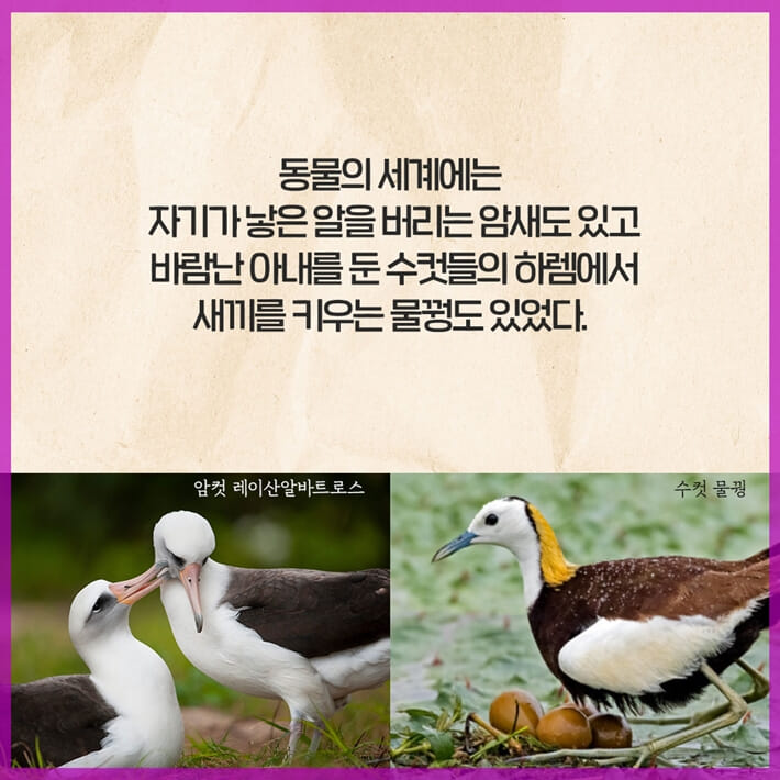 카드뉴스4