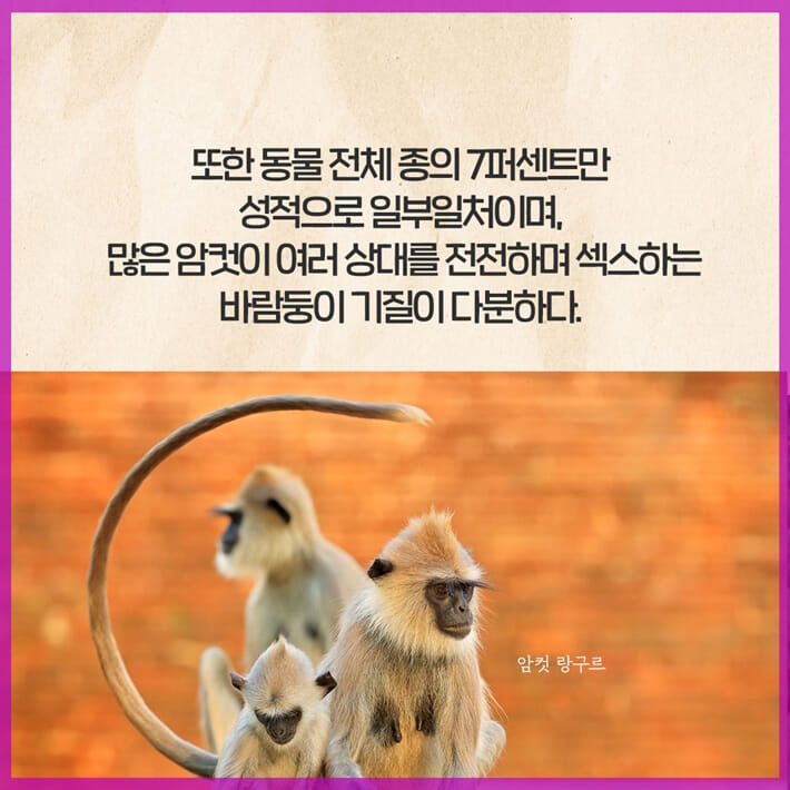 카드뉴스5