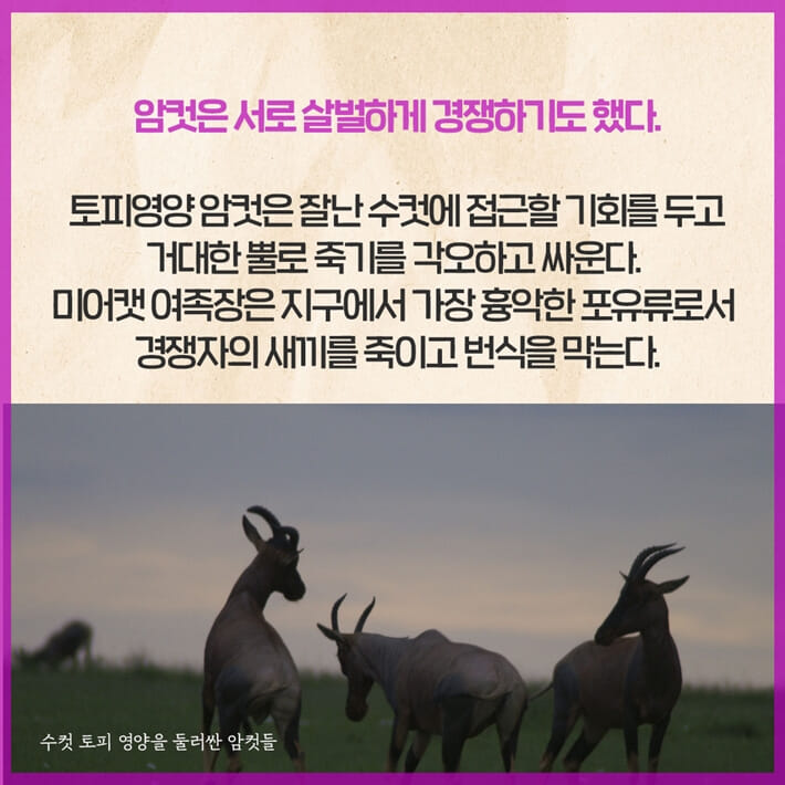 카드뉴스6