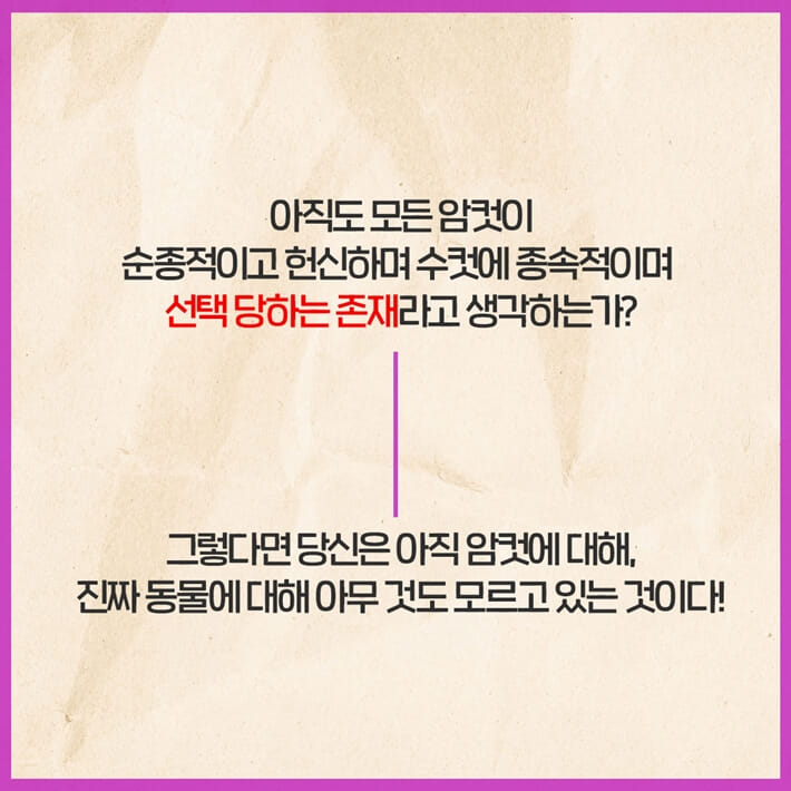 카드뉴스7