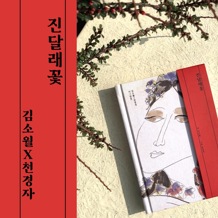 카드뉴스0