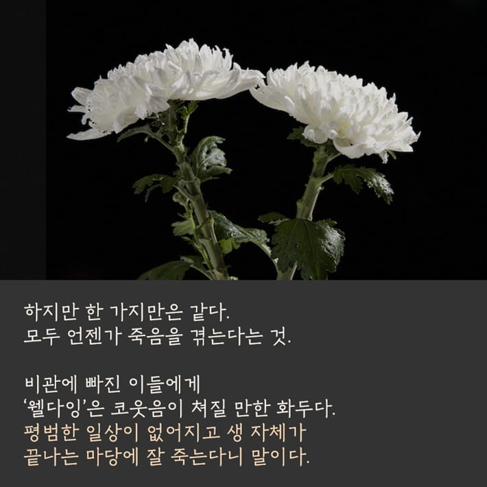 카드뉴스3