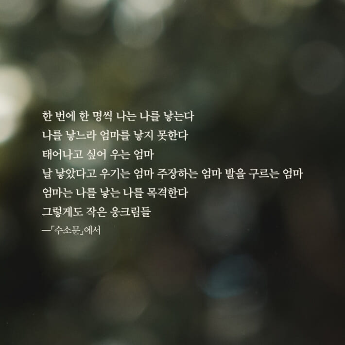 카드뉴스4