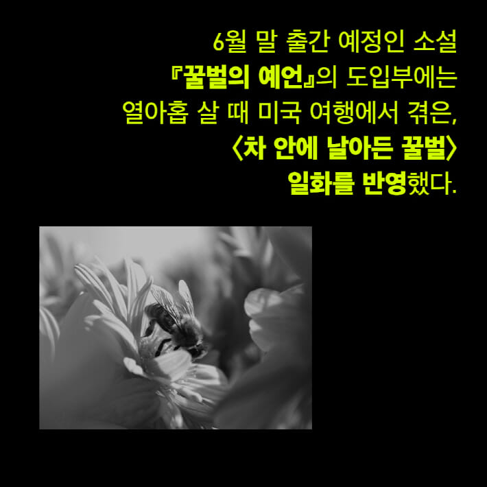 카드뉴스5