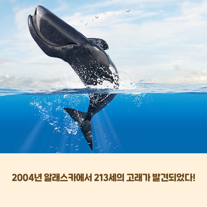 카드뉴스0