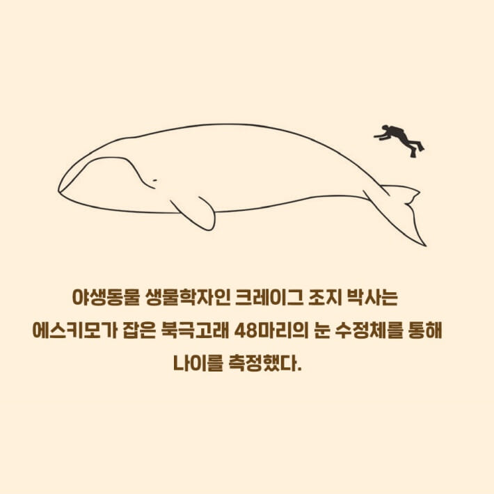 카드뉴스1