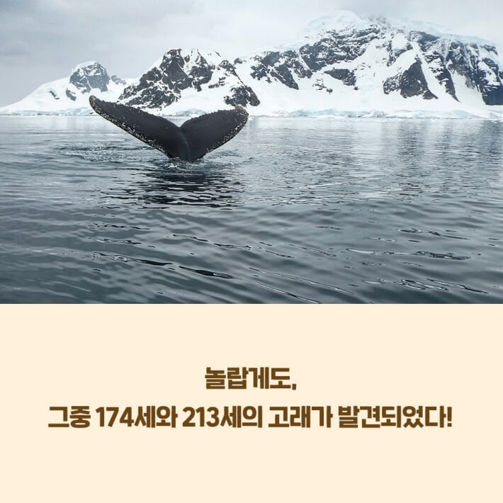 카드뉴스2