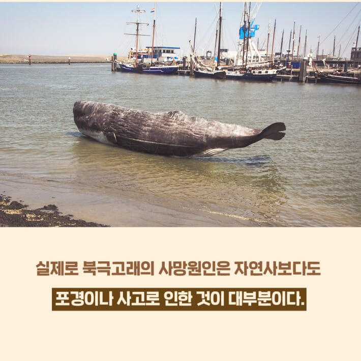 카드뉴스3