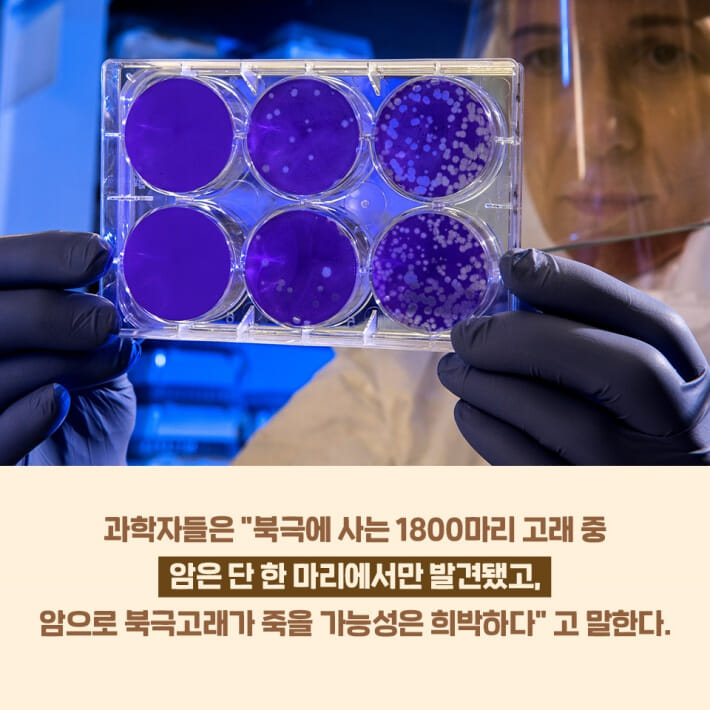 카드뉴스4