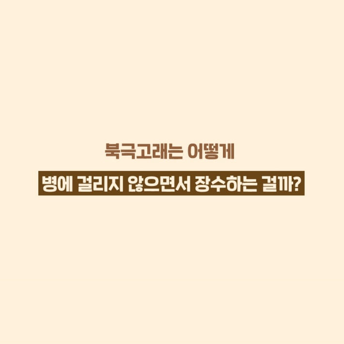 카드뉴스5
