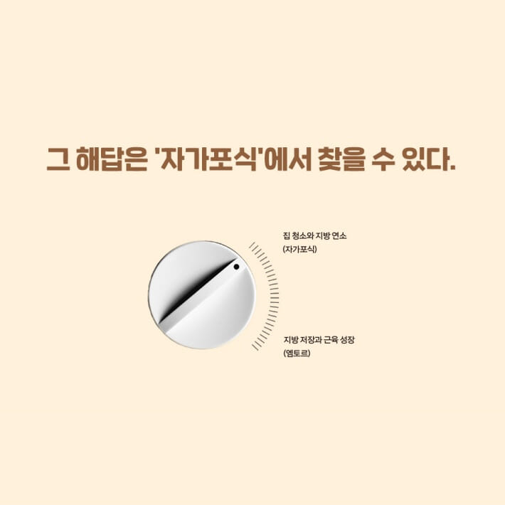 카드뉴스6