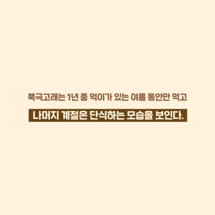 카드뉴스8