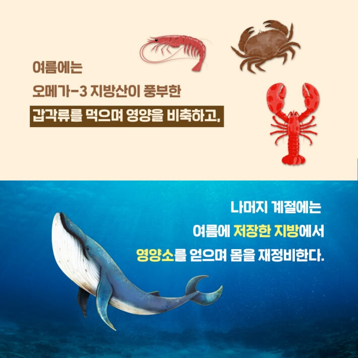 카드뉴스9