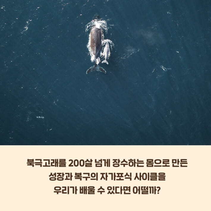 카드뉴스10
