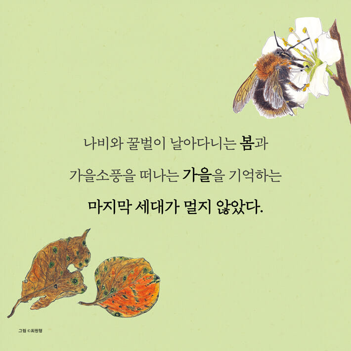 카드뉴스0