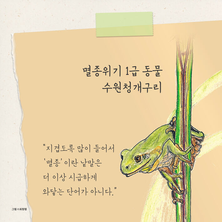 카드뉴스3