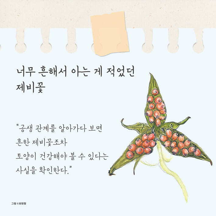 카드뉴스4