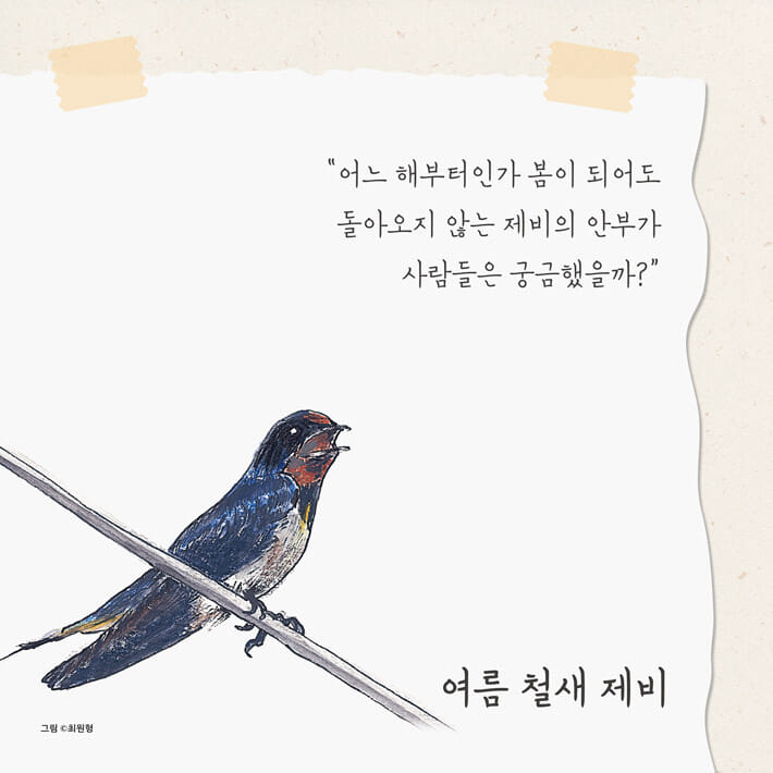 카드뉴스5