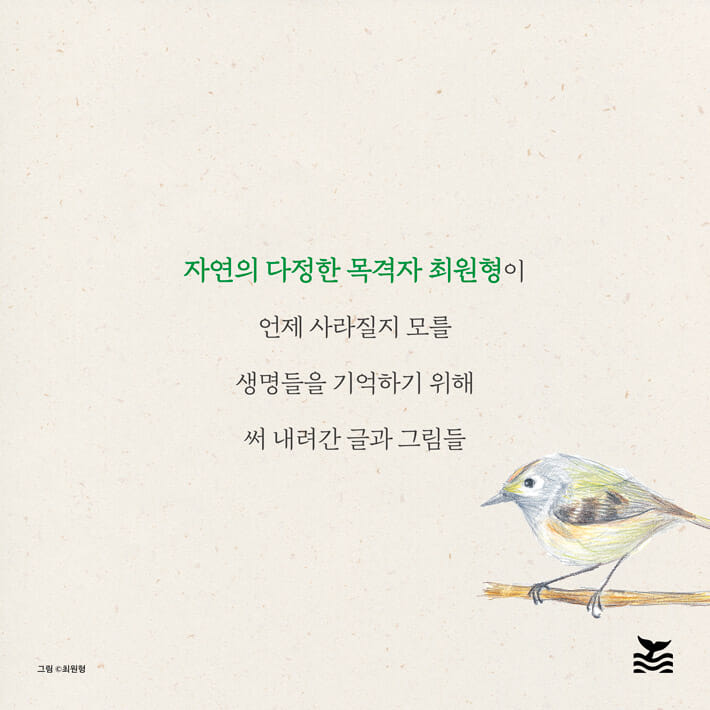 카드뉴스6