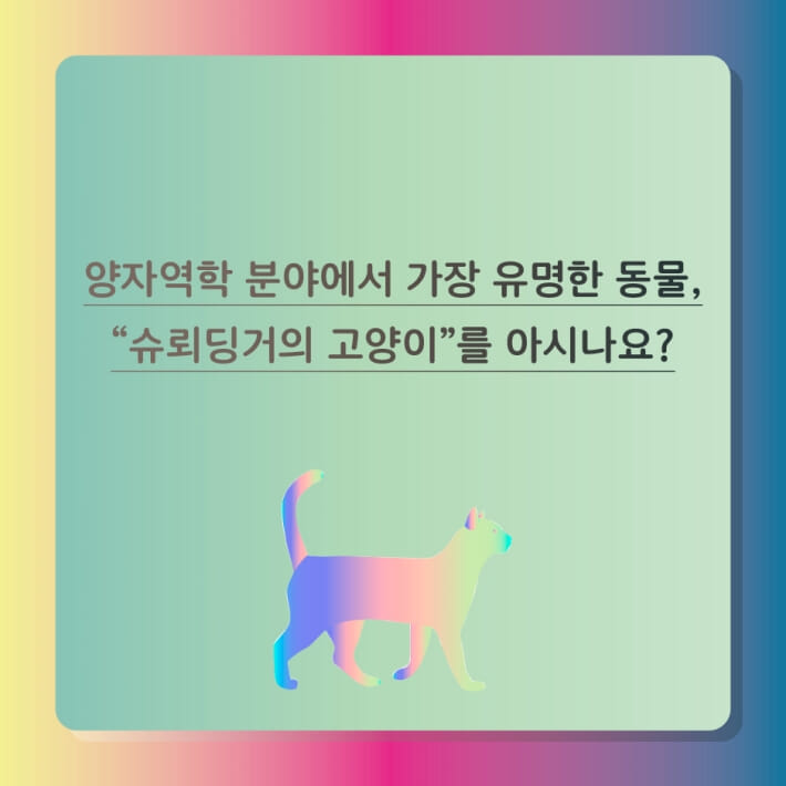 카드뉴스0