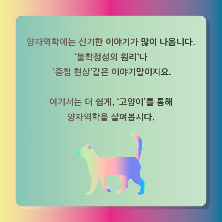 카드뉴스1