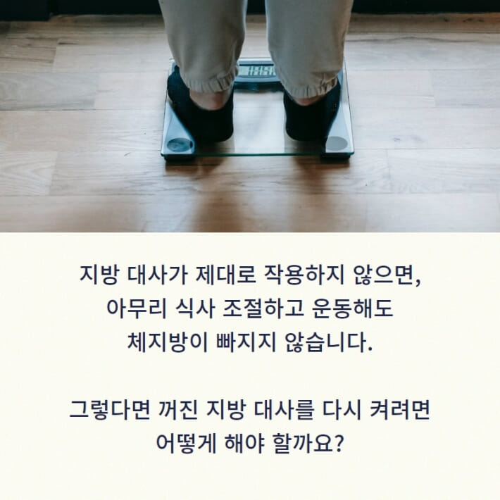 카드뉴스7