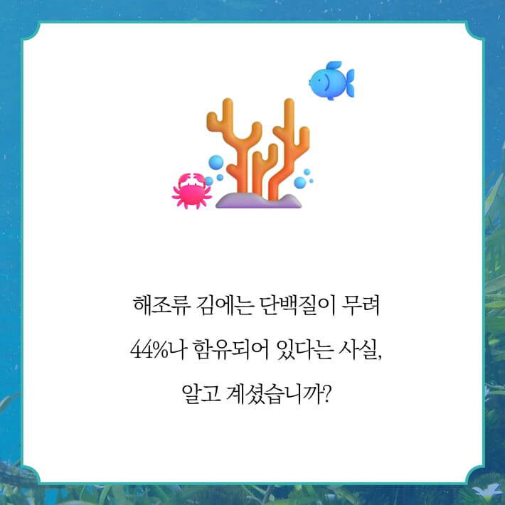 카드뉴스0