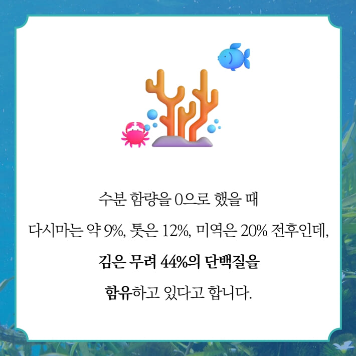 카드뉴스1