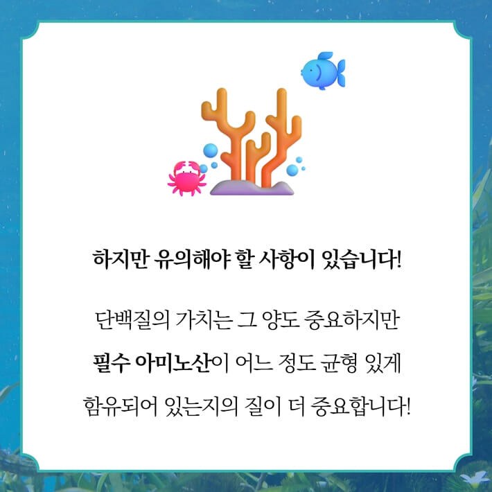 카드뉴스2