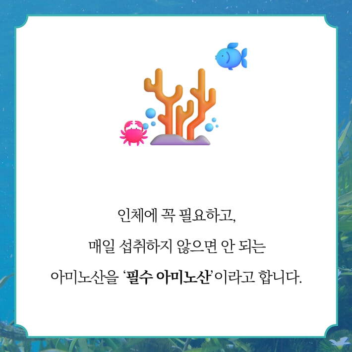 카드뉴스3