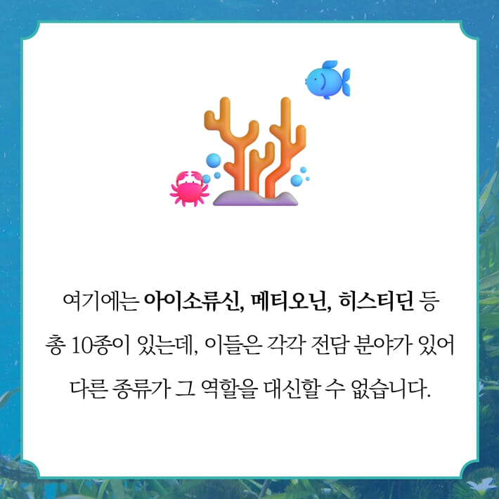 카드뉴스4