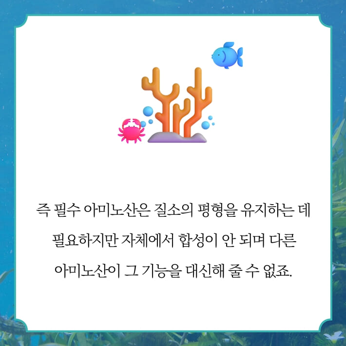 카드뉴스5