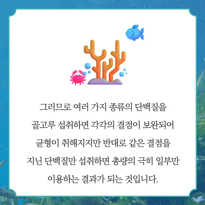 카드뉴스6
