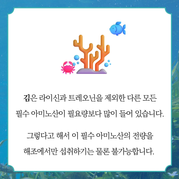 카드뉴스7