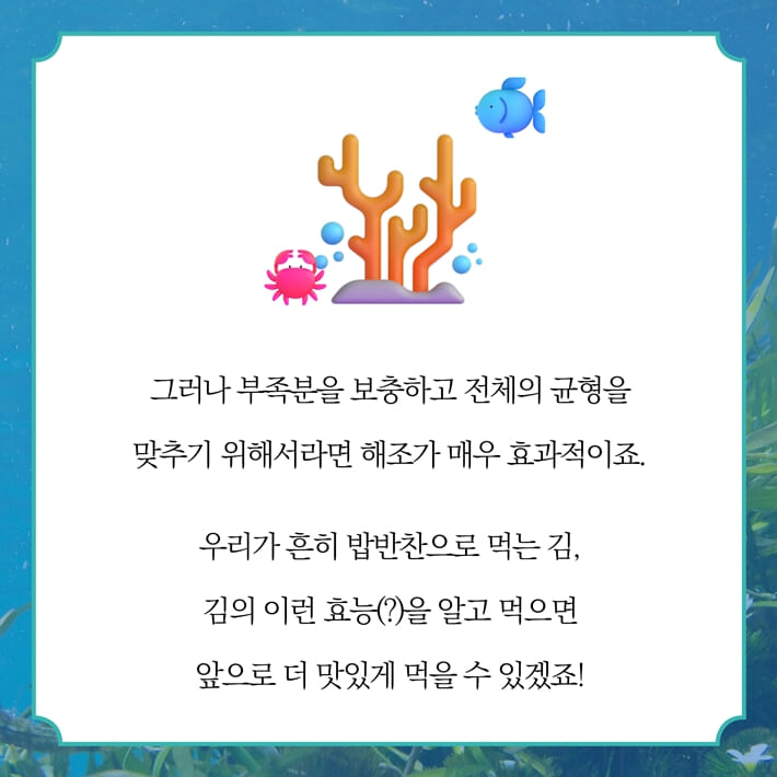 카드뉴스8