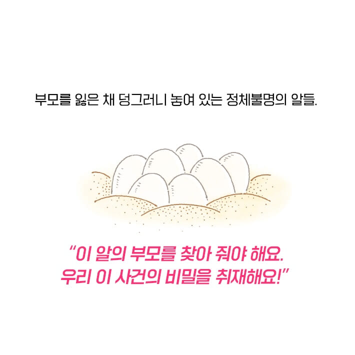 카드뉴스5