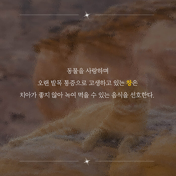 카드뉴스4