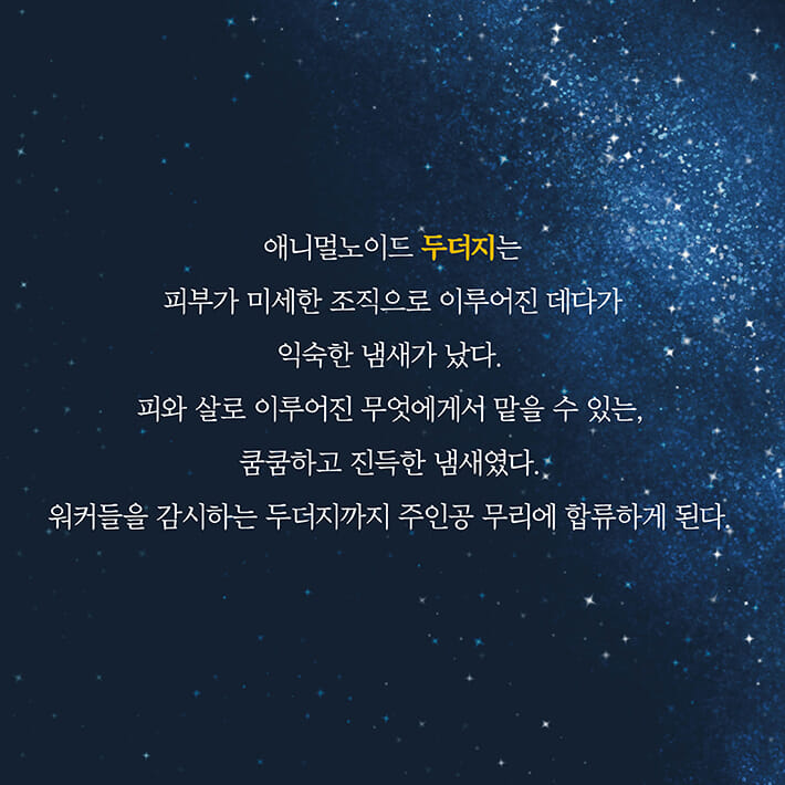 카드뉴스9