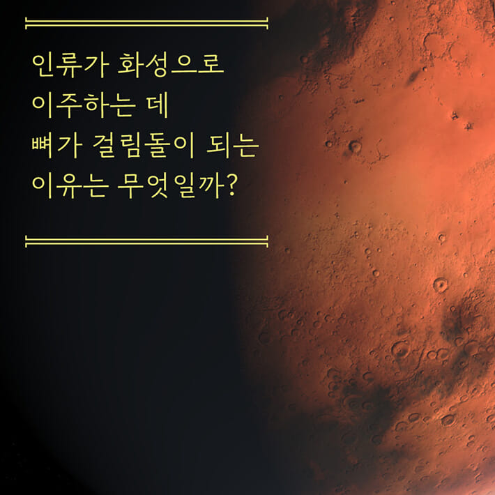 카드뉴스1