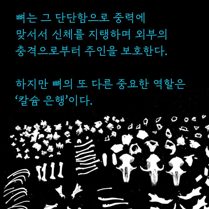 카드뉴스2