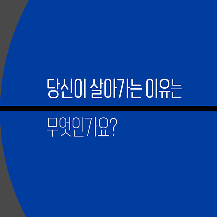 카드뉴스4